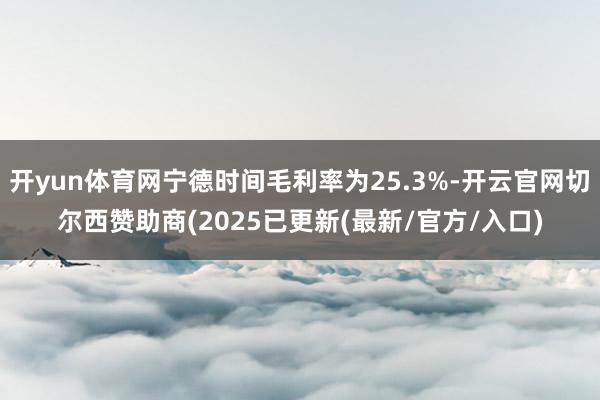 开yun体育网宁德时间毛利率为25.3%-开云官网切尔西赞助商(2025已更新(最新/官方/入口)