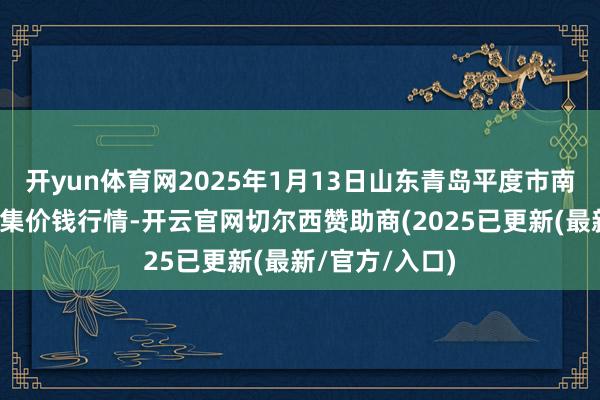 开yun体育网2025年1月13日山东青岛平度市南村蔬菜批发市集价钱行情-开云官网切尔西赞助商(2025已更新(最新/官方/入口)