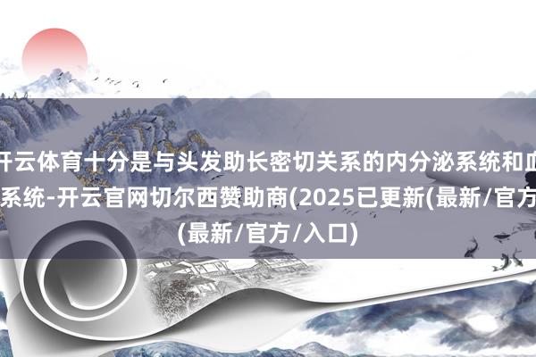 开云体育十分是与头发助长密切关系的内分泌系统和血液轮回系统-开云官网切尔西赞助商(2025已更新(最新/官方/入口)
